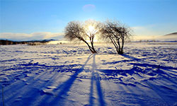 米線加盟，有一種不怕冷的美食，叫做十秒到米線！